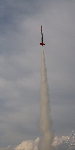 2012 Svojek mirek patek